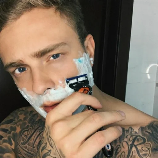 Человек человеческое лицо комнатный