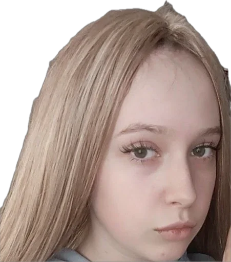 Чертильники - 