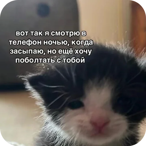 Sticker Egor5716 - 1