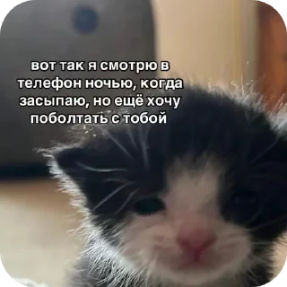 Sticker Чота тип - 5