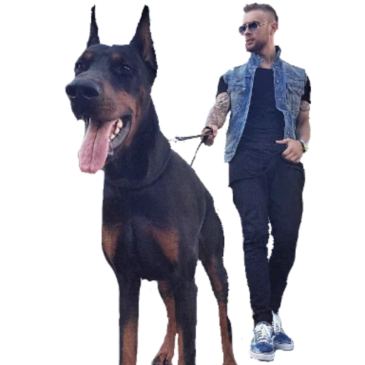 млекопитающее воротник животное