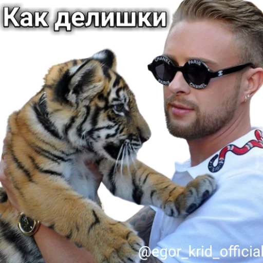 млекопитающее животное большая кошка