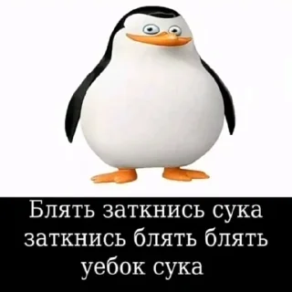 Стикер Я съел шекели - 0