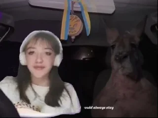 Стикер Варечка 🐺🍼😈 @TgEmodziBot - 5