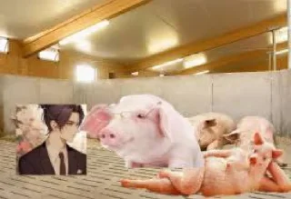 Стикер Варечка 🐺🍼😈 @TgEmodziBot - 4