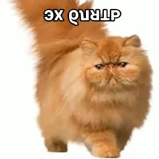 Стикер Эх бляя - 7