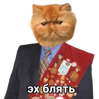 Стикер Эх бляя - 5