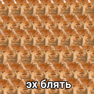 Стикер Эх бляя - 3