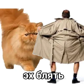 Стикер Эх бляя - 4