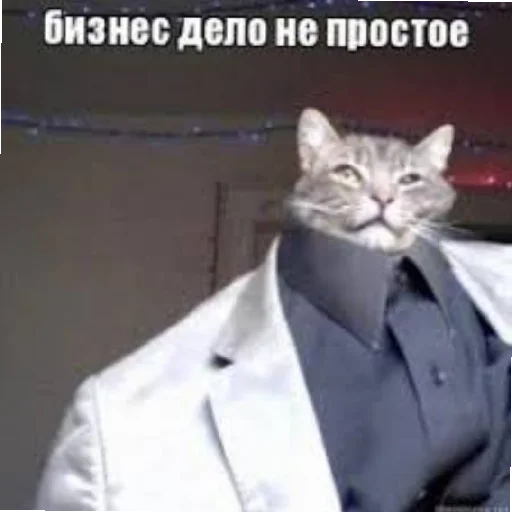 СМС воротник галстук