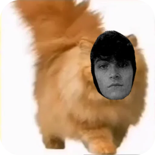 Стикер EhhhhFuck - 1