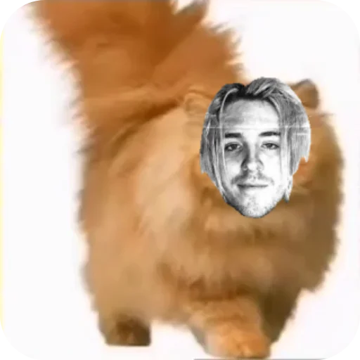 Sticker EhhhhFuck - 1