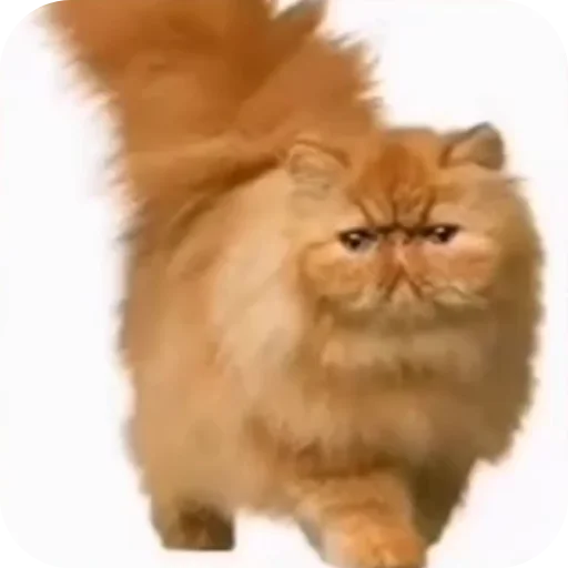 Эххх блятть от @EhhhhFuck - 