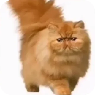 Стикер Эххх блятть от @EhhhhFuck - 6