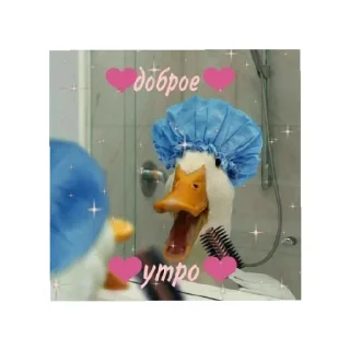 Sticker Больше стиков тут: @stikery4 - 11