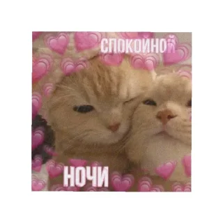 Sticker Больше стиков тут: @stikery4 - 7