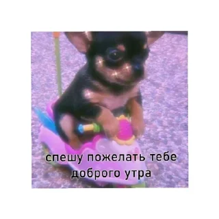 Sticker Больше стиков тут: @stikery4 - 2