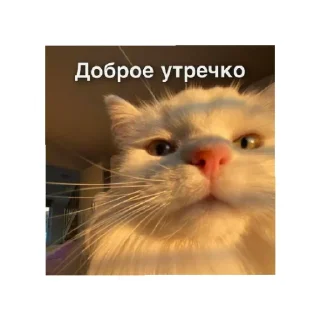 Sticker Больше стиков тут: @stikery4 - 4