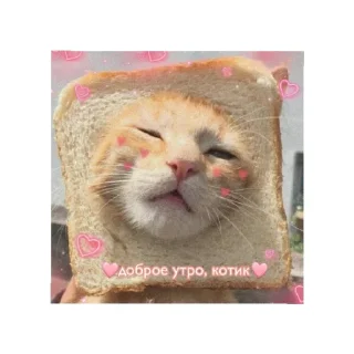 Sticker Больше стиков тут: @stikery4 - 8