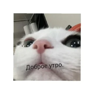 Sticker Больше стиков тут: @stikery4 - 6