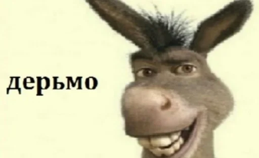 mammal animal rabbit