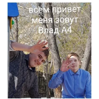 Sticker Шиза - 9