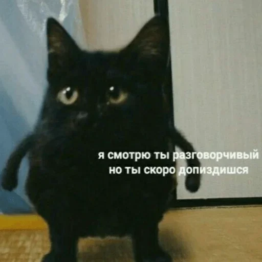 Sticker Ekskdnds - 1