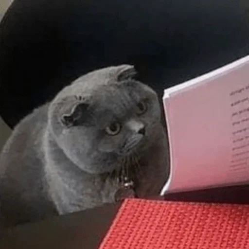 Стикер Ekskdnds - 1