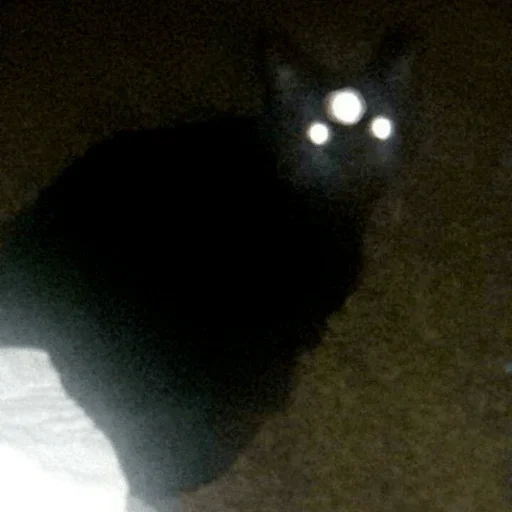 Sticker Ekskdnds - 1