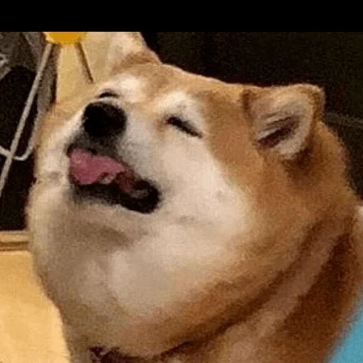 Стикер Ekskdnds - 1