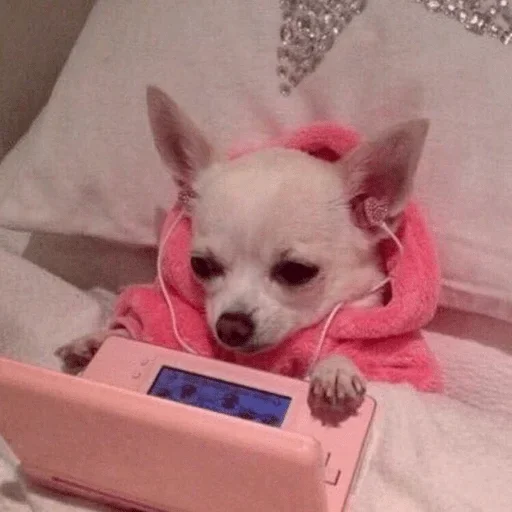 Стикер Ekskdnds - 1