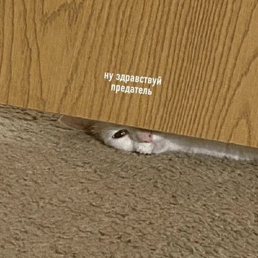 Sticker Ekskdnds - 1