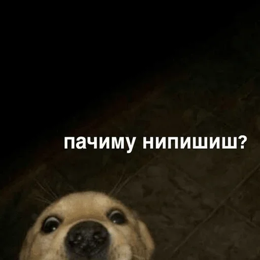 Стикер Ekskdnds - 1