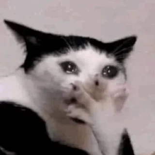 Sticker @i_love_akame - 9