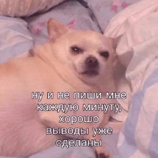 Sticker @i_love_akame - 2