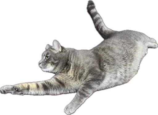 ⚡️ELECTRO NSK 154⚡️ - 