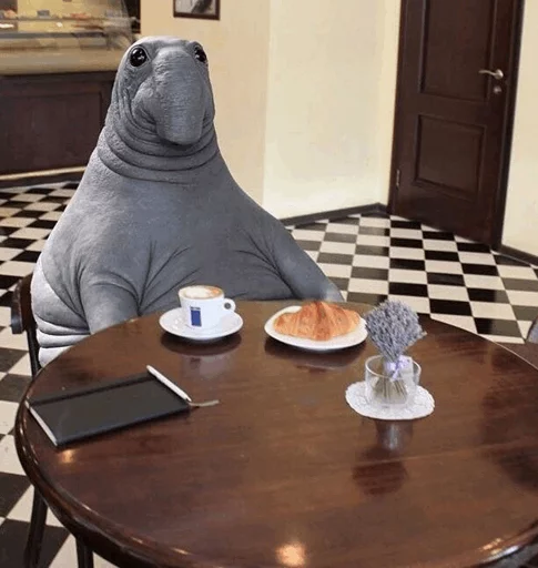 Sticker Elephant seal @ElOlive @Wapster - 10