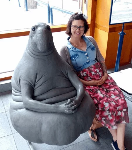 Sticker Elephant seal @ElOlive @Wapster - 7