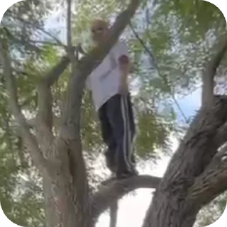 Стикер Елизарко-бландинко - 10