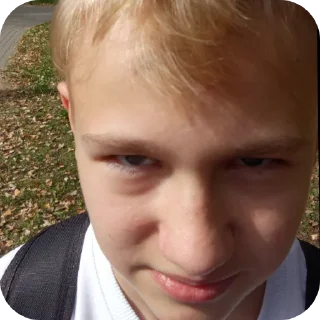 Стикер Елизарко-бландинко - 5