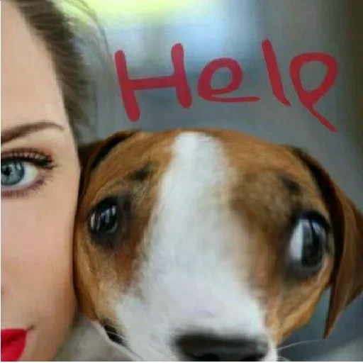 Стикер ЭЛЕОНАРДА ДУДУНЦЫХА :: @fStikBot - 3