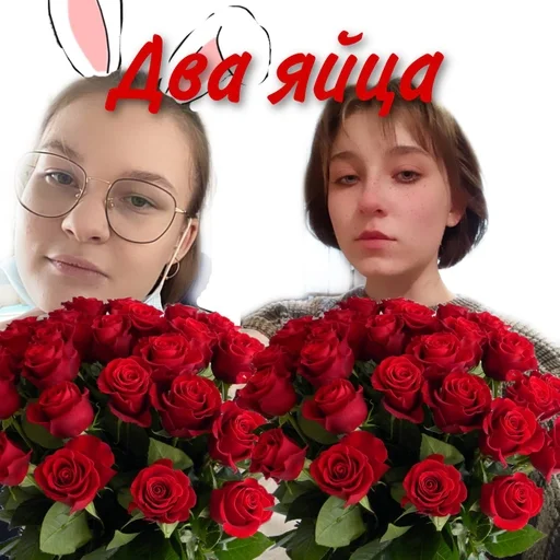 роза срезанные цветы человеческое лицо