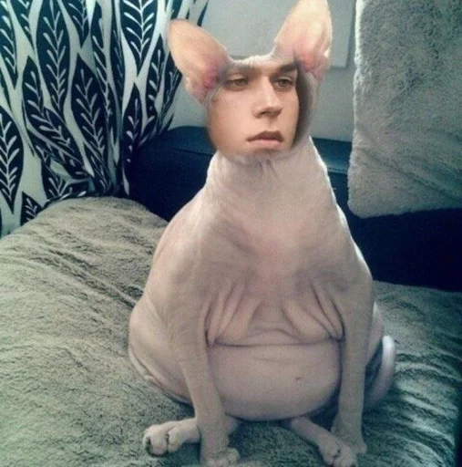 Sticker бетономешалка :: @fStikBot - 1