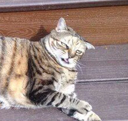 Стикер By Dolphin© - 4