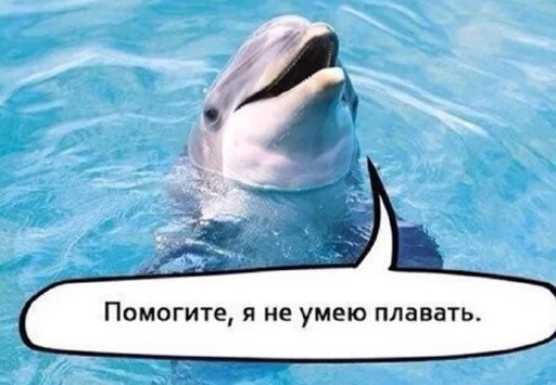 Стикер By Dolphin© - 0