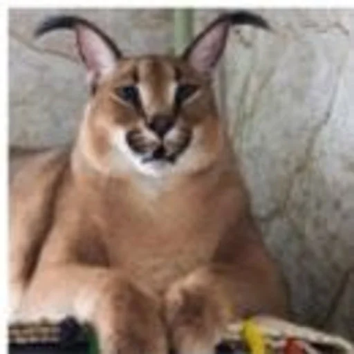 Стикер Шлёпик :: @fStikBot - 9