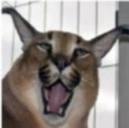 Стикер Шлёпик :: @fStikBot - 6