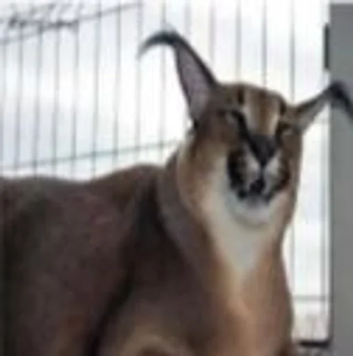 Стикер Шлёпик :: @fStikBot - 4