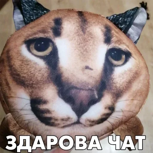 Стикеры 👉 @EmojiKolStickersBot - 