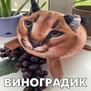 Стикер Стикеры 👉 @EmojiKolStickersBot - 6